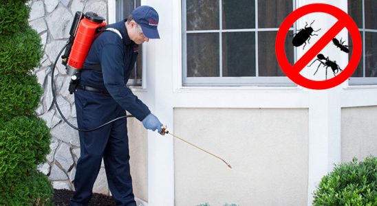 Akçaabat Kemirgen İlaçlama böcek ilaçlama ve haşere kontrolü — ilaclama-tr.com